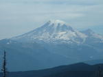 DSCF0101