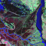 Satellite photo