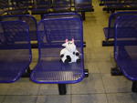 belgium train station