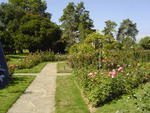 Garden walked through in Geneva