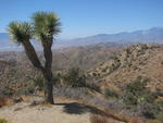 First in a series of views from Eureka Peak