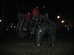 Return of the elephant!