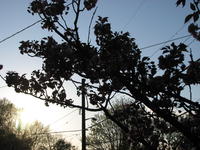 April 2007