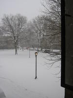 2003 Snow