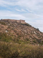 IMGP6031.JPG