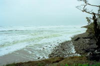CAPE_LOOKOUT