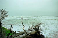 CAPE_LOOKOUT