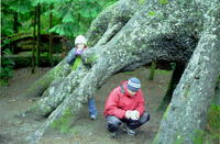 JACK_LEAH_AND_TREE