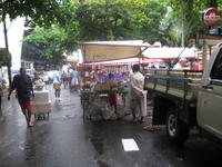 goldfish for sale at the local market-rio copacabana