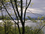 DSCN0069.jpg
