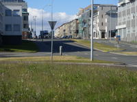 SL383065.JPG