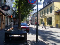 SL383067.JPG