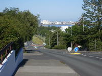 SL383098.JPG