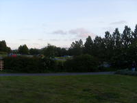 SL383107.JPG