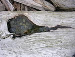DSCN0076.jpg
