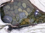 DSCN0077.jpg