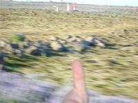 DSC00063