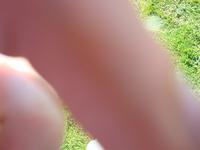 DSC00076