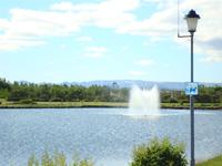 DSC00082