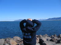fbp 08