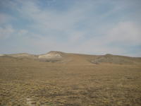 IMG_0505.jpg